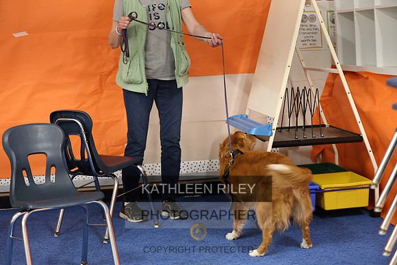 SJLT6970