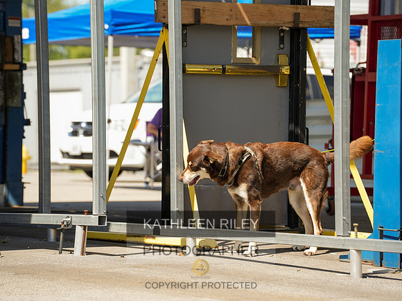 2022-KathleenRileyPhotography-04248