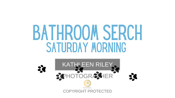 bathroom serch