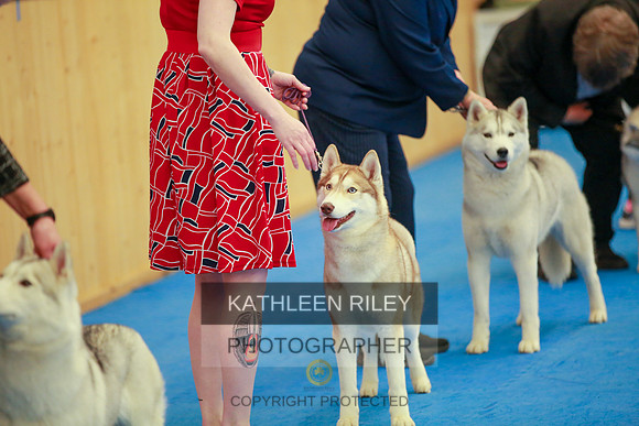 2022-KathleenRileyPhotography-6320