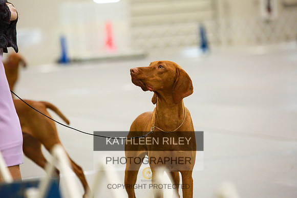 2022-KathleenRileyPhotography-8574