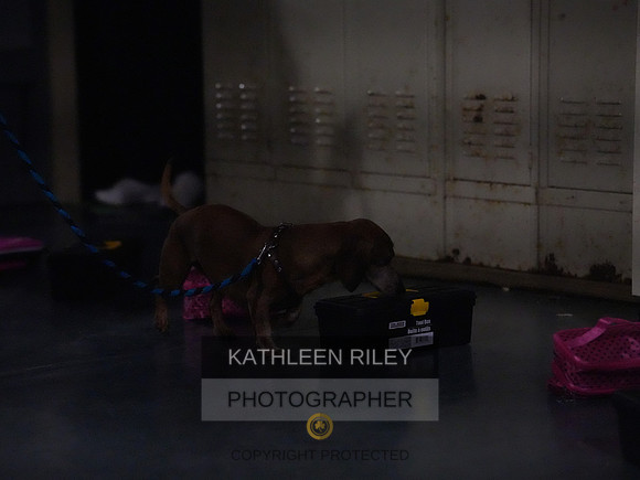 2022-KathleenRileyPhotography170