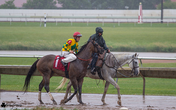 Seth Martinez on Ellie's The Boss a Thoroughbred  at Canterbury Park
