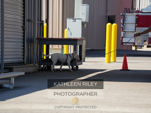 2022-KathleenRileyPhotography-04207