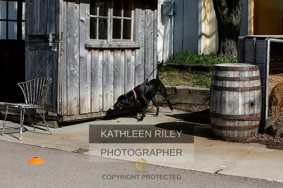 2022-KathleenRileyPhotography-7638