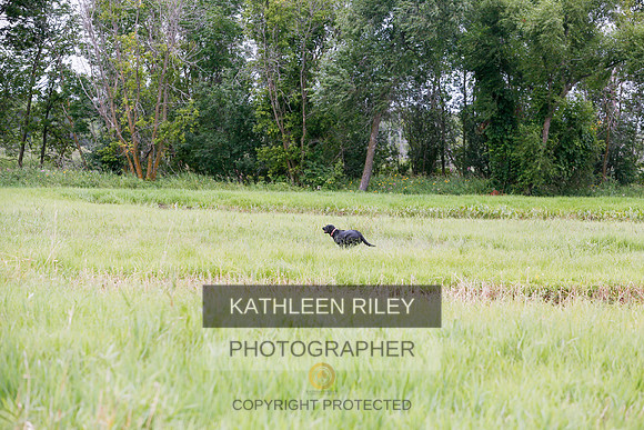 2022-KathleenRileyPhotography-3325
