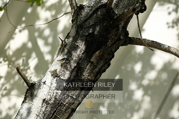 2022-KathleenRileyPhotography-2696