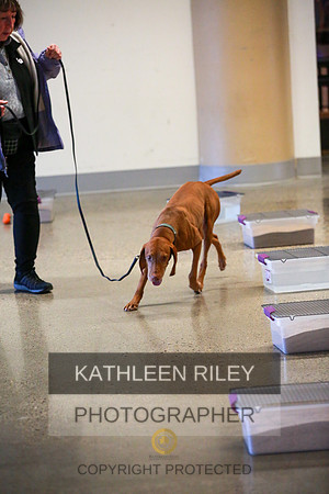 2022-KathleenRileyPhotography-7419