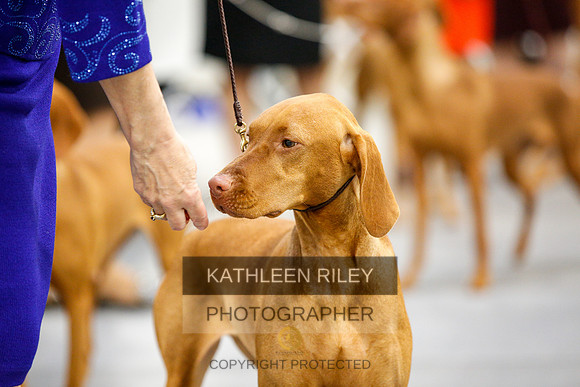 2022-KathleenRileyPhotography-2331