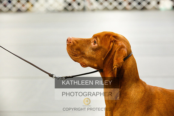 2022-KathleenRileyPhotography-0775