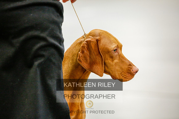 2022-KathleenRileyPhotography-9698