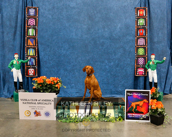 2022-KathleenRileyPhotography-1219