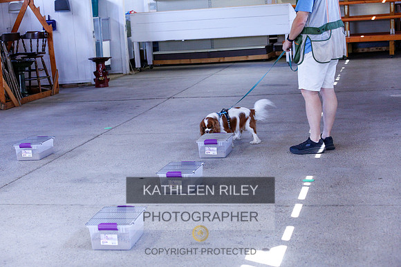 2022-KathleenRileyPhotography-9468