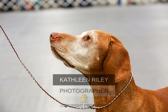 2022-KathleenRileyPhotography-8061