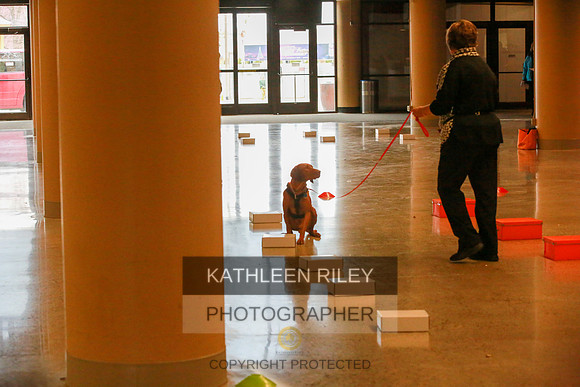 2022-KathleenRileyPhotography-7484