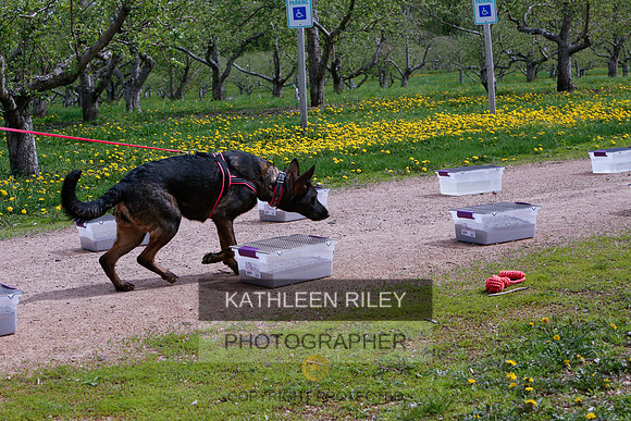 2022-KathleenRileyPhotography-8724