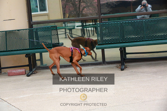 2022-KathleenRileyPhotography-7605