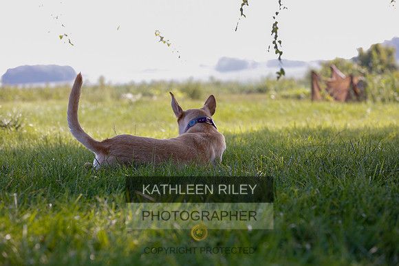 2022-KathleenRileyPhotography-7950