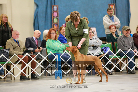 2022-KathleenRileyPhotography-8706