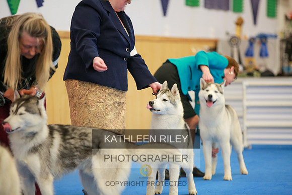 2022-KathleenRileyPhotography-6133