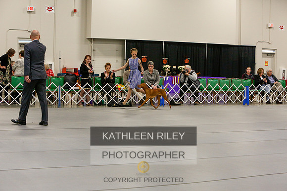 2022-KathleenRileyPhotography-5617