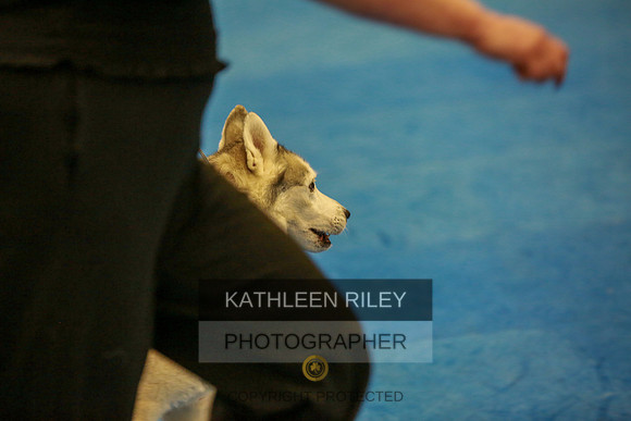 2022-KathleenRileyPhotography-6338