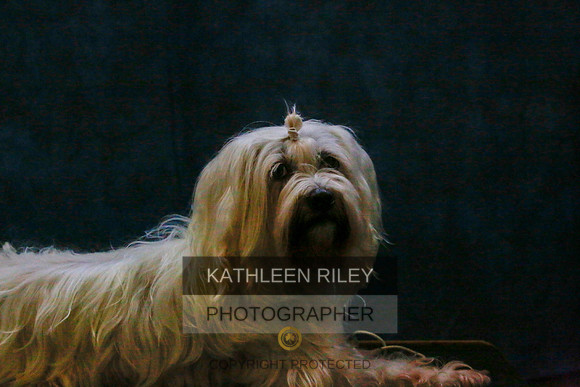 2022-KathleenRileyPhotography-9424
