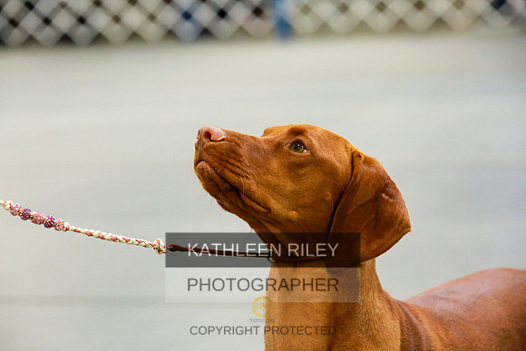 2022-KathleenRileyPhotography-8870
