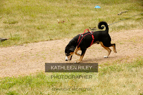 2022-KathleenRileyPhotography-0365