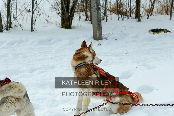 2022-KathleenRileyPhotography-7127