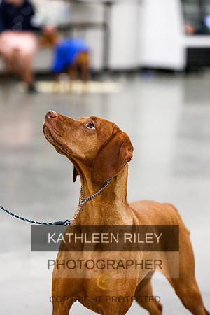 2022-KathleenRileyPhotography-7335
