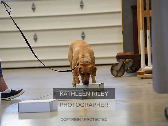 2022-KathleenRileyPhotography-03822