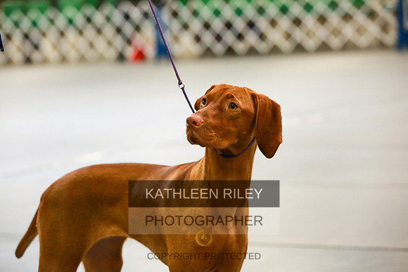 2022-KathleenRileyPhotography-8776