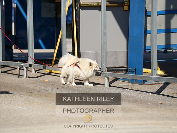 2022-KathleenRileyPhotography-03904