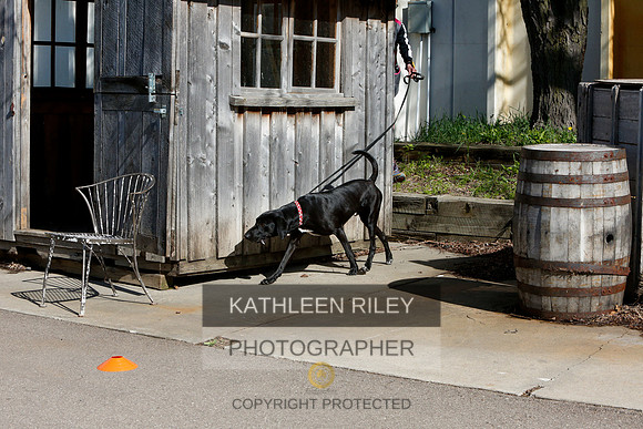 2022-KathleenRileyPhotography-7639
