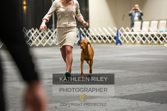 1N5A1690