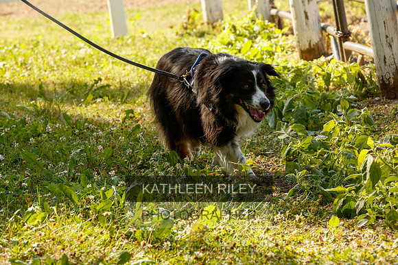 2022-KathleenRileyPhotography-0180