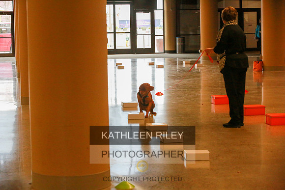 2022-KathleenRileyPhotography-7482