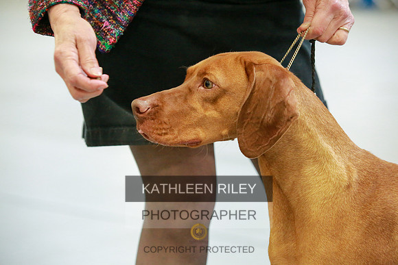 2022-KathleenRileyPhotography-8819