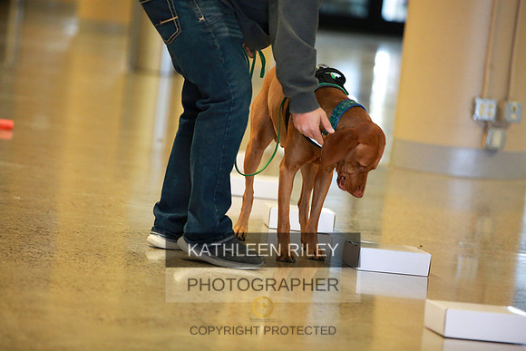 2022-KathleenRileyPhotography-7586