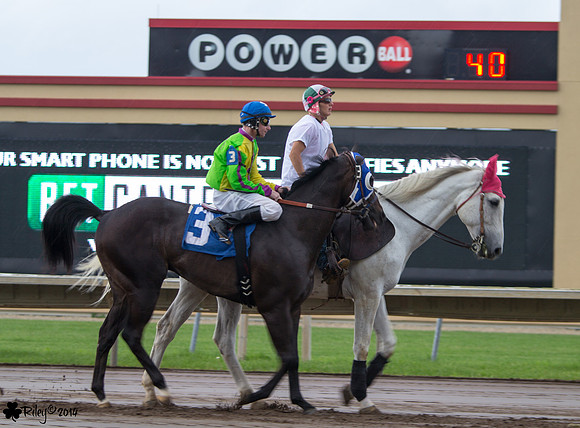 Stormy Smith on Little Bit Brandy AQHA at Canterbury Park