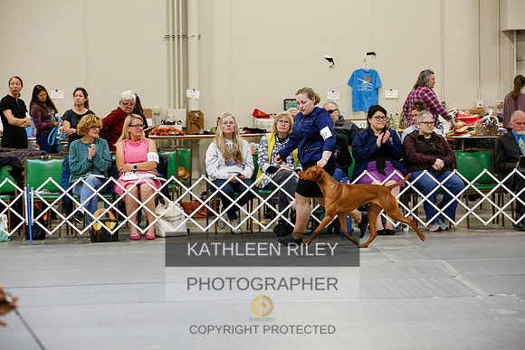 2022-KathleenRileyPhotography-0975