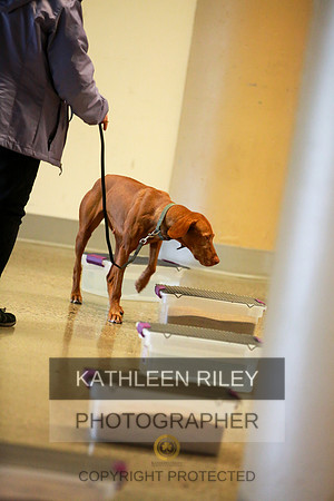 2022-KathleenRileyPhotography-7429