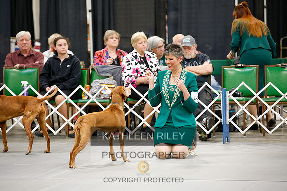 2022-KathleenRileyPhotography-1356