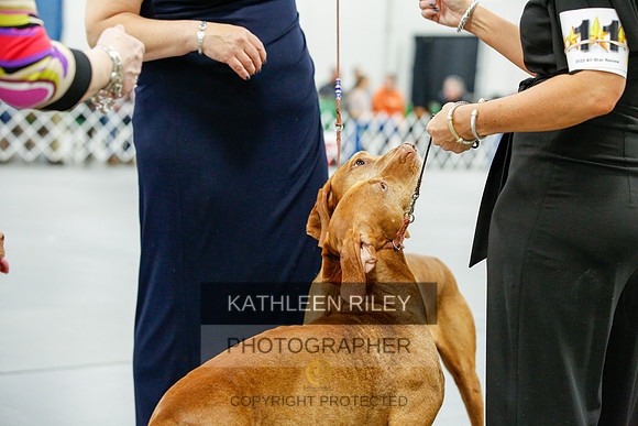 2022-KathleenRileyPhotography-0166