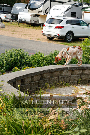 2022-KathleenRileyPhotography-9378