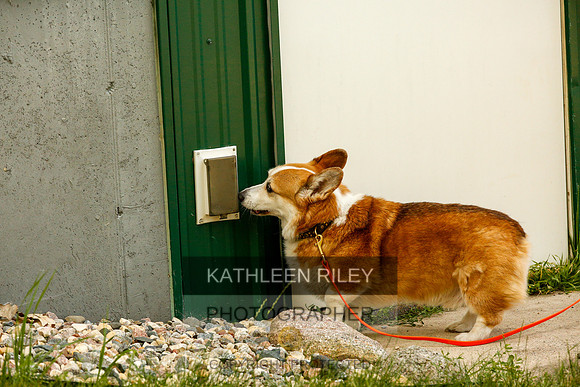 2022-KathleenRileyPhotography-0357