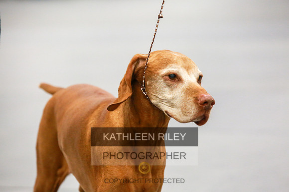 2022-KathleenRileyPhotography-8047