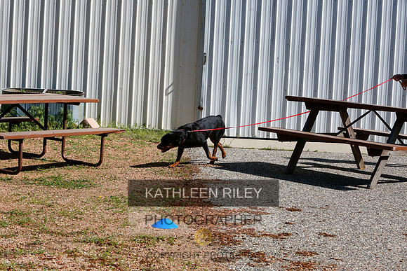 2022-KathleenRileyPhotography-9609