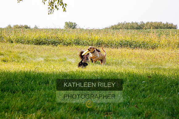 2022-KathleenRileyPhotography-5530